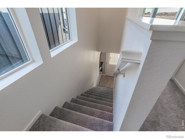 955 Trumpet Lane, Windsor, CO 80550
