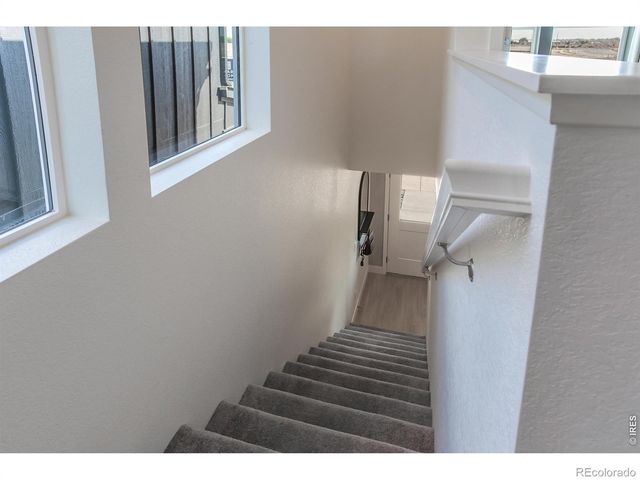 955 Trumpet Lane, Windsor, CO 80550