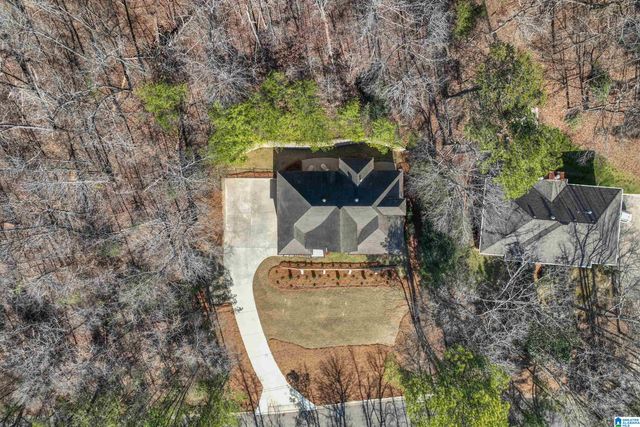 4157 RIVER VIEW COVE, Vestavia Hills, AL 35243