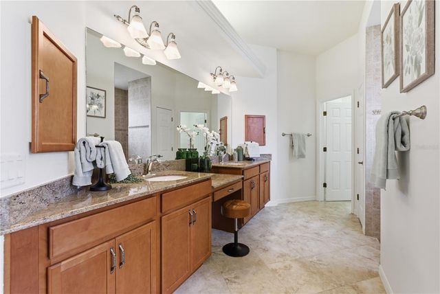 8747 BONICA PLACE, Land O Lakes, FL 34637