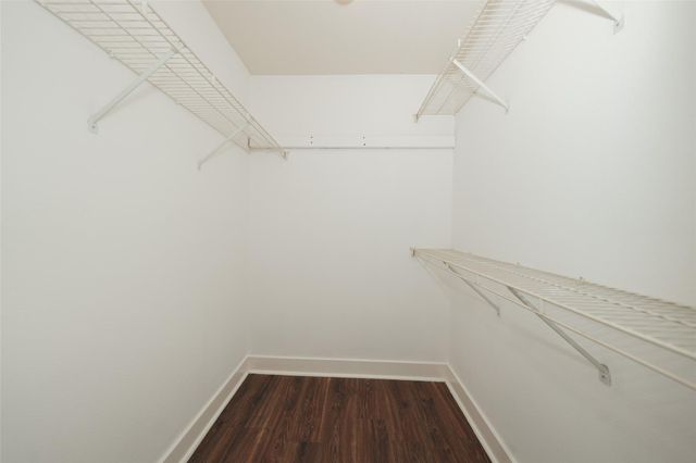 21739 Maple Bluff Drive, Katy, TX 77449