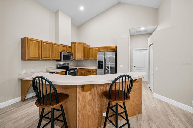 1259 PARADISE LAKE DRIVE, Tarpon Springs, FL 34689