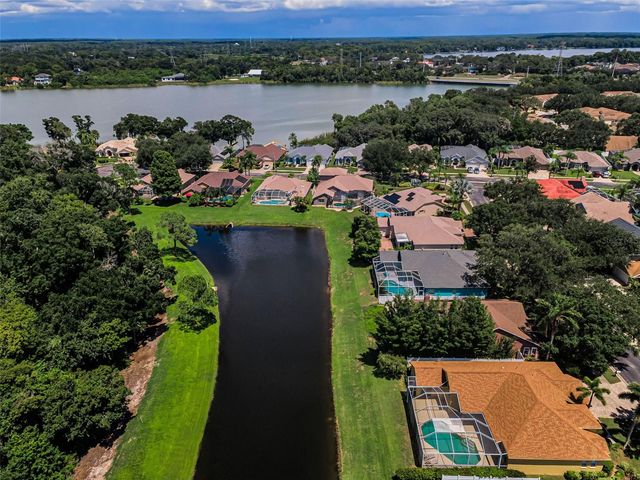 1259 PARADISE LAKE DRIVE, Tarpon Springs, FL 34689