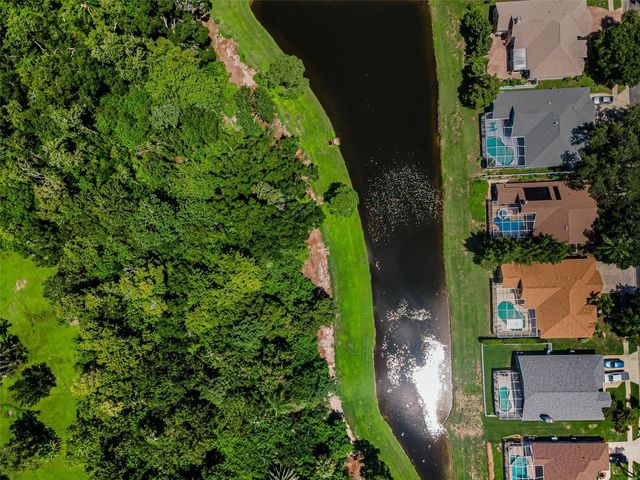 1259 PARADISE LAKE DRIVE, Tarpon Springs, FL 34689