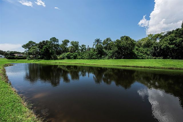 1259 PARADISE LAKE DRIVE, Tarpon Springs, FL 34689