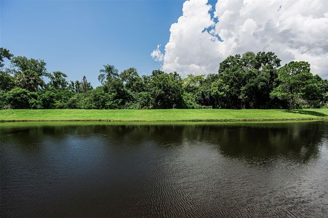 1259 PARADISE LAKE DRIVE, Tarpon Springs, FL 34689