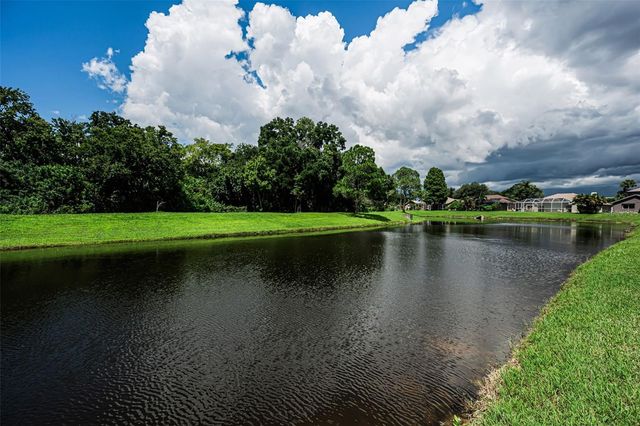 1259 PARADISE LAKE DRIVE, Tarpon Springs, FL 34689