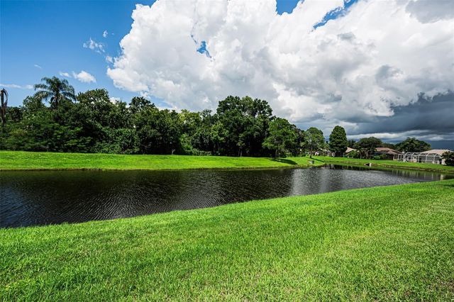 1259 PARADISE LAKE DRIVE, Tarpon Springs, FL 34689