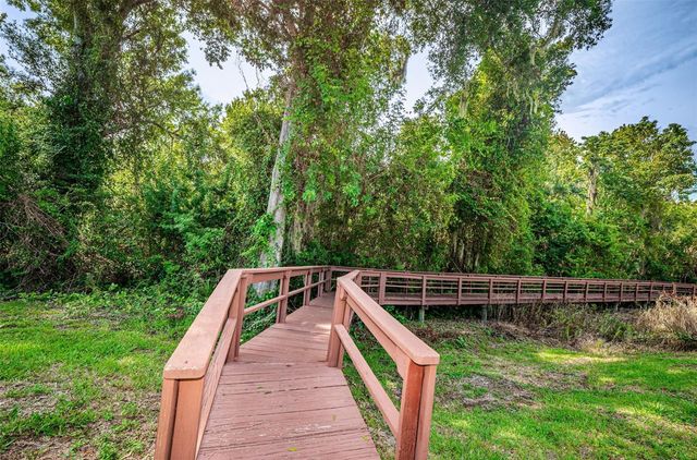 1259 PARADISE LAKE DRIVE, Tarpon Springs, FL 34689