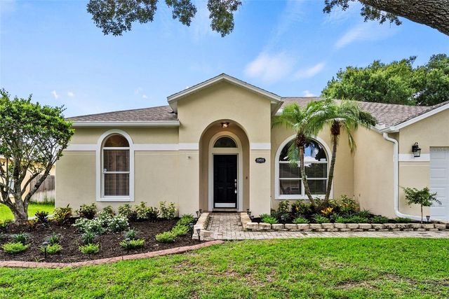 19811 WYNDHAM LAKES DRIVE, Odessa, FL 33556