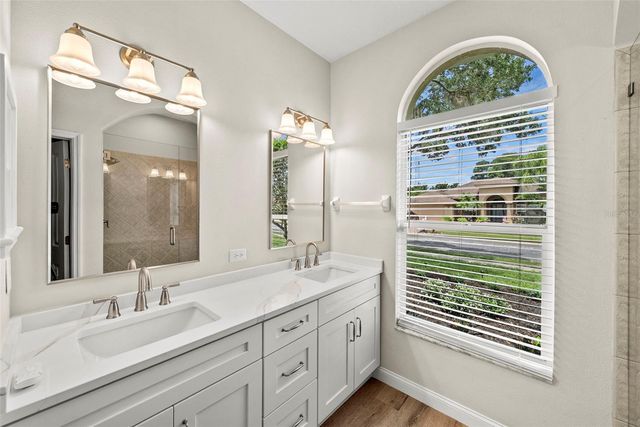 19811 WYNDHAM LAKES DRIVE, Odessa, FL 33556