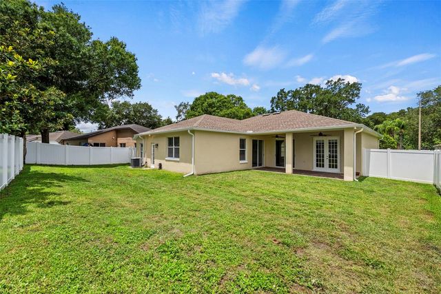 19811 WYNDHAM LAKES DRIVE, Odessa, FL 33556
