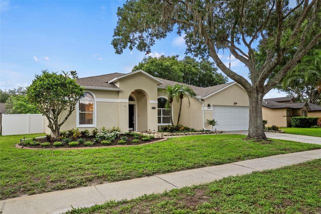 19811 WYNDHAM LAKES DRIVE, Odessa, FL 33556