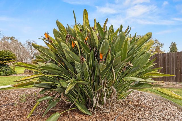 4361 Dresser Rd, Yuba City, CA 95993