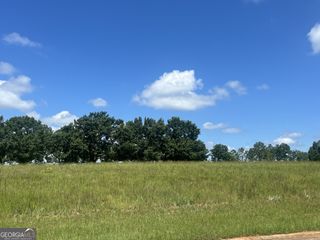 24 Camden Way, Hawkinsville, GA 31036