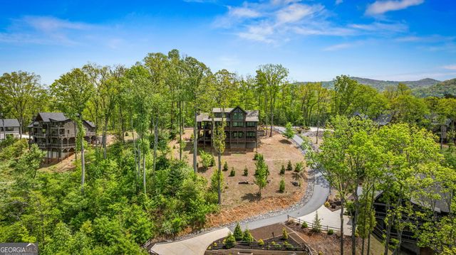 802 Overlook Drive, Blue Ridge, GA 30513