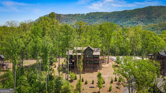 802 Overlook Drive, Blue Ridge, GA 30513