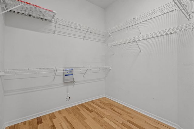 9218 SOUCHAK DRIVE, Trinity, FL 34655