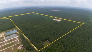 386 Buddy Brown Road, Livingston, TX 77351