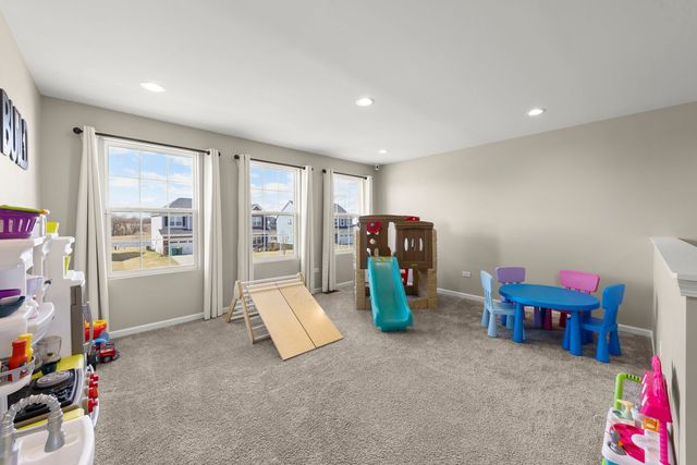 12601 S Poplar Crossing, Plainfield, IL 60585