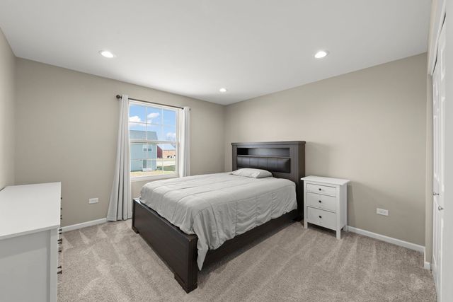 12601 S Poplar Crossing, Plainfield, IL 60585