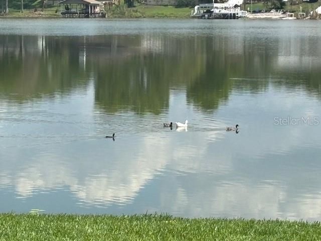 528 ORANGE DRIVE 26, Altamonte Springs, FL 32701