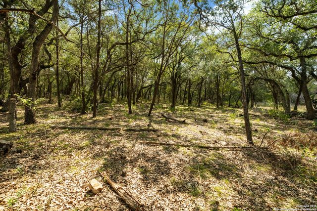 1775 Lost TRL, New Braunfels, TX 78132