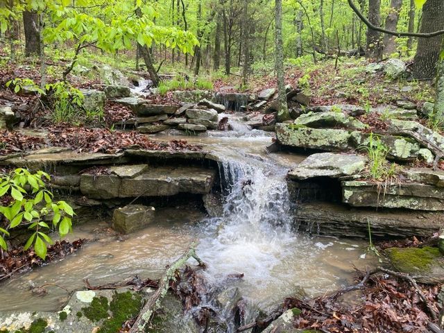 12426 Lockhart Road, West Fork, AR 72774