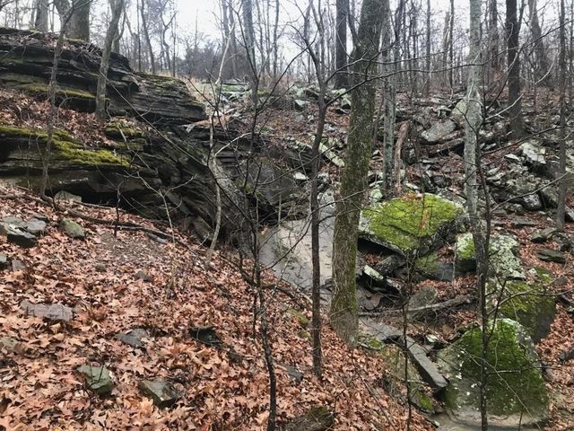 12426 Lockhart Road, West Fork, AR 72774