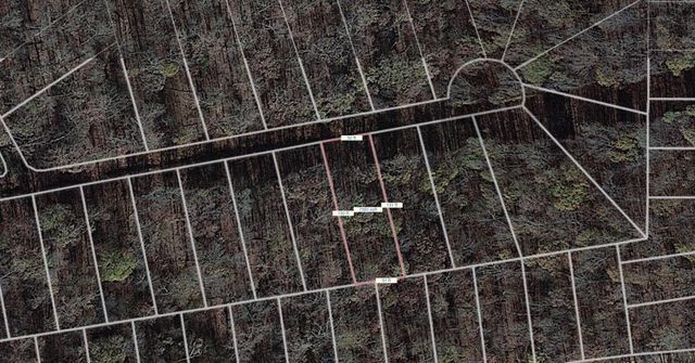 Lot 39-7 Placer Cove, Other, AR 72482