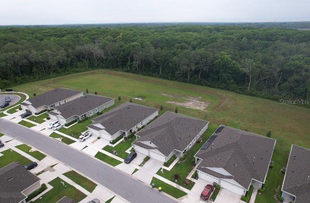 20029 ROYAL TERN COURT, Leesburg, FL 34748