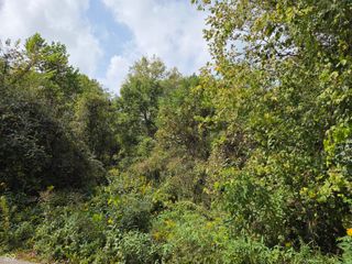 0 Tc Steele Road, Nashville, IN 47448