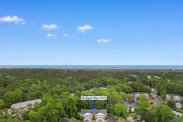 93 Egret Run Ln Unit 113, Pawleys Island, SC 29585