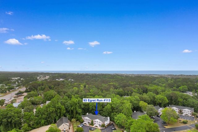 93 Egret Run Ln Unit 113, Pawleys Island, SC 29585