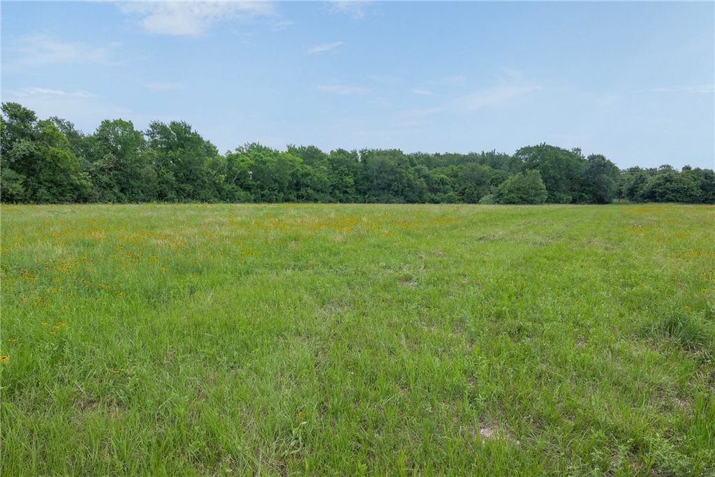 7880 Chockataw Lane, Navasota, TX 77868 — photo 3