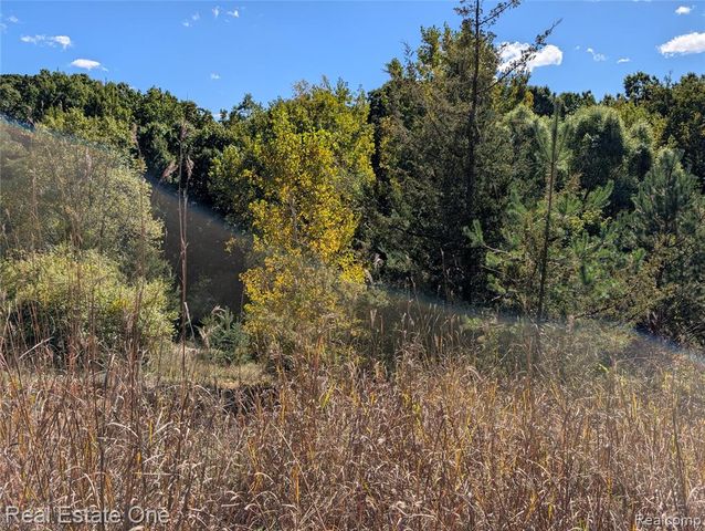0 Clare Lane, White Lake, MI 48383