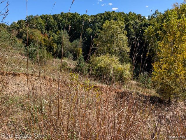 0 Clare Lane, White Lake, MI 48383