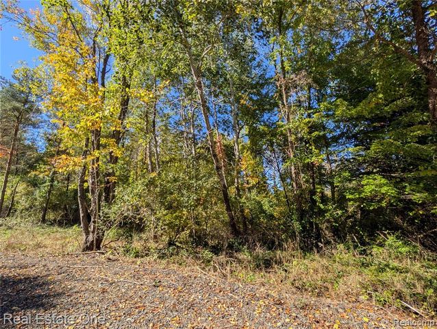 0 Clare Lane, White Lake, MI 48383