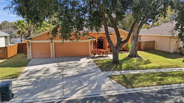 10455 ASHLEY OAKS DRIVE, Riverview, FL 33578