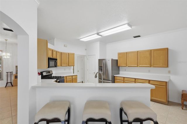 10455 ASHLEY OAKS DRIVE, Riverview, FL 33578