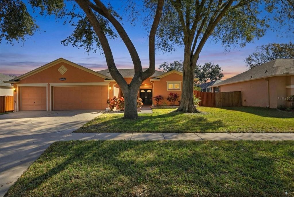 10455 ASHLEY OAKS DRIVE, Riverview, FL 33578