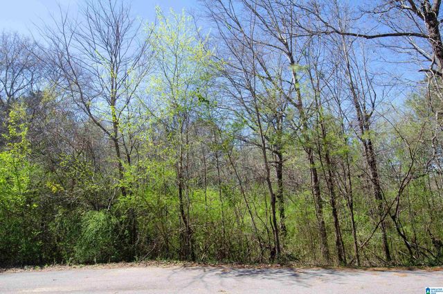 0 HOWARD CIRCLE, Lincoln, AL 35096