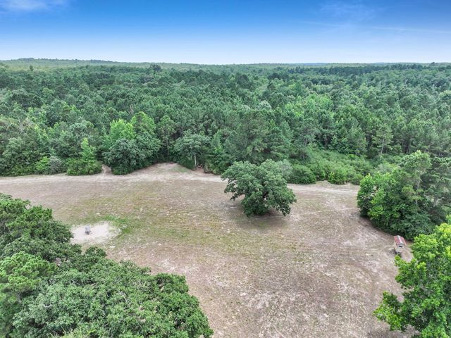 8323 County Road 292, Buffalo, TX 75831