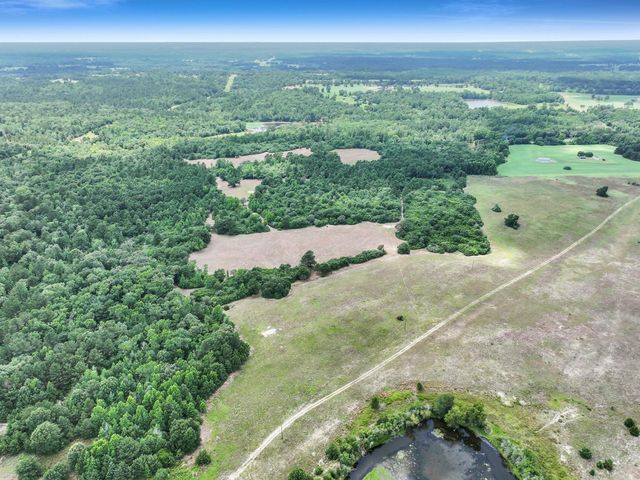 8323 County Road 292, Buffalo, TX 75831