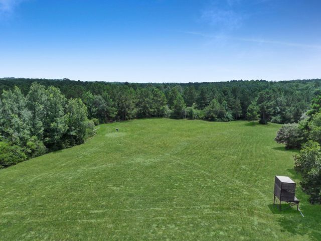8323 County Road 292, Buffalo, TX 75831