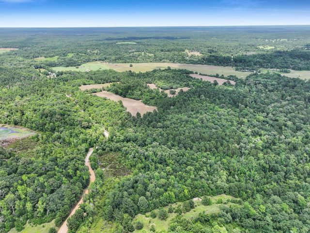 8323 County Road 292, Buffalo, TX 75831