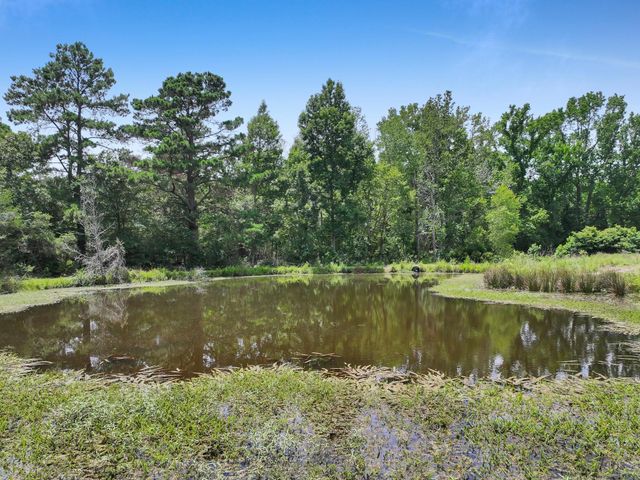8323 County Road 292, Buffalo, TX 75831