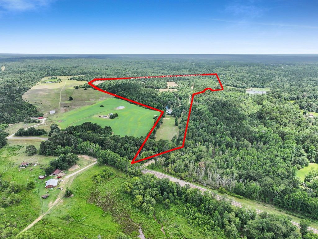 8323 County Road 292, Buffalo, TX 75831