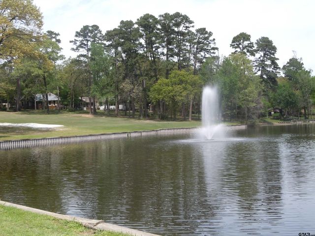 162 Pine Tree Unit A, Holly Lake Ranch, TX 75765