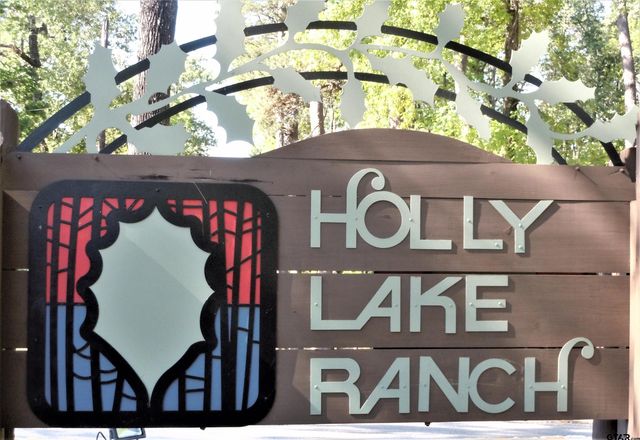 162 Pine Tree Unit A, Holly Lake Ranch, TX 75765